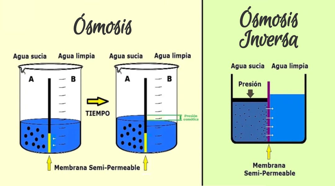 Qué es la Ósmosis Inversa? 