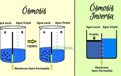 ¿Qué es la Ósmosis Inversa?