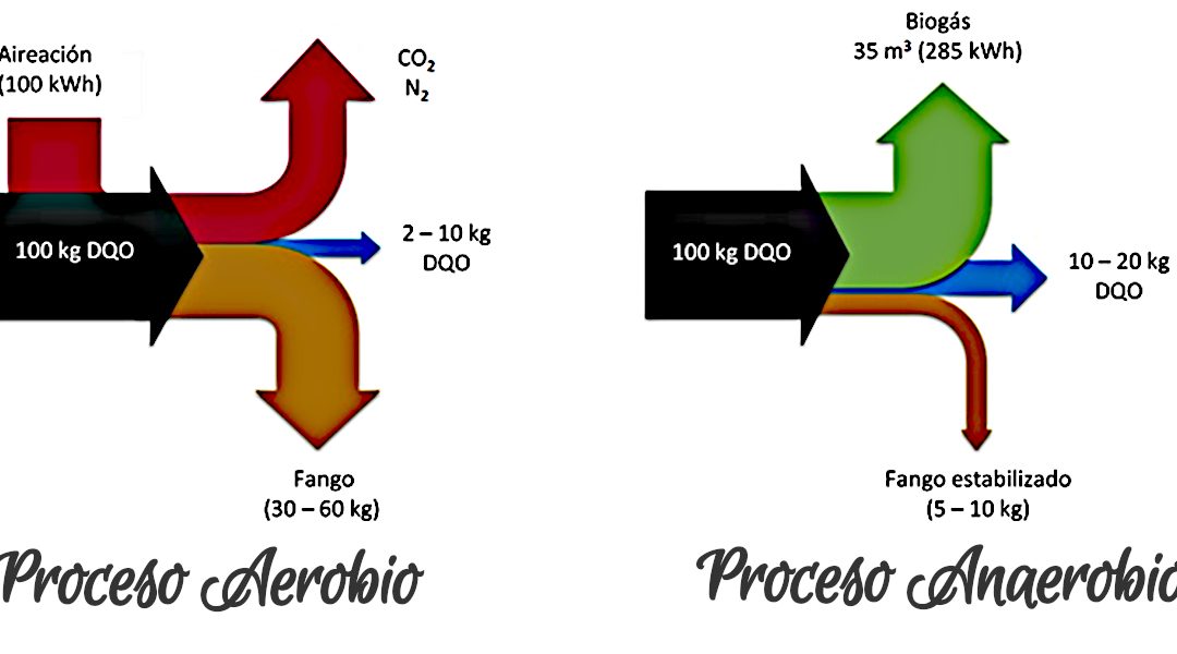 Procesos Ecológicos Aerobios y Anaerobios