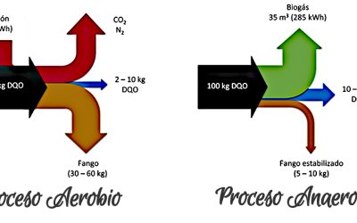 Procesos Ecológicos Aerobios y Anaerobios